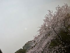 -阳澄湖费尔蒙酒店颐丰阁中餐厅(马鞍山西路店)