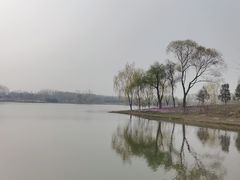 -东郊湿地公园