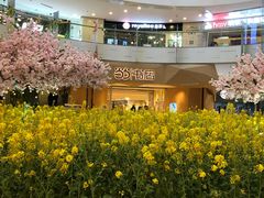 -当当书店(国泰广场店)