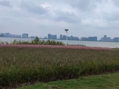 -苏州东太湖生态园