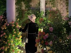 -大塘金香草谷