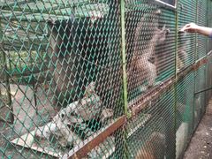 -藏龙百瀑风景区