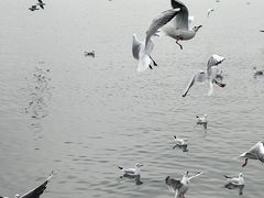 -蠡湖大桥公园