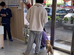 -恒幸动物医院·急重症转诊中心·神经内外科·CT核磁
