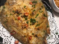 -九府羊·鲜羊火锅·烤串(新华路店)