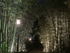 -福建鲤鱼洲酒店