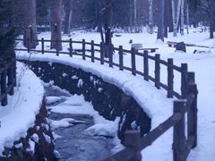 -北海道神宫