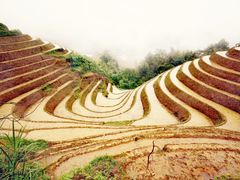 -龙脊梯田