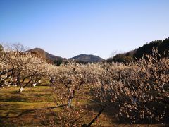 -白马涧龙池景区