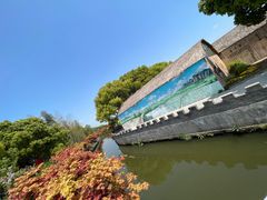 -苏州太湖西山岛开心农场