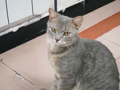 -双生肠粉(牌坊街总店)