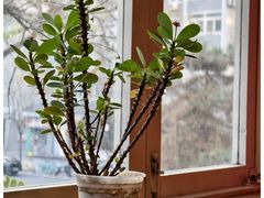 -雕刻时光咖啡馆(南院门店)