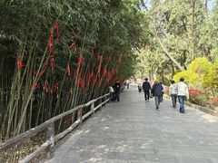 -浮来山风景区