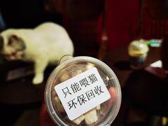 -猫色咖啡·猫咖