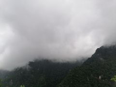 -牛背梁国家森林公园