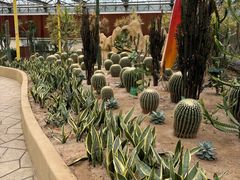 -南宫五洲植物乐园