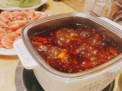 -清真军邺·金富苑肥牛(石坡街旗舰店)