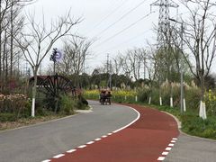 -上海长兴岛郊野公园