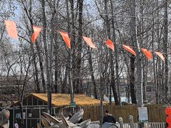 -1982农场