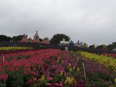-松山湖梦幻百花洲