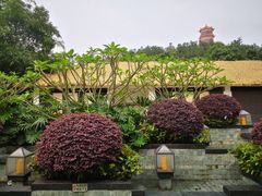 -台山颐和温泉城
