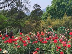 -国家植物园南园