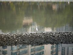 -苏州河梦清园环保主题公园