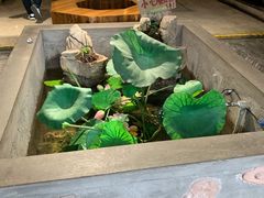 -灶东家民间菜(回兴店)