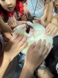 -Zoolung Zoolung动物主题公园(海信广场店)