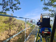 -黄金寨原生态旅游区