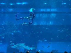 -南昌融创海世界