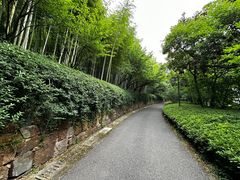 -苏州环秀晓筑养生度假村
