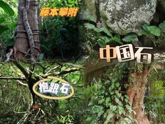 -呀诺达热带雨林