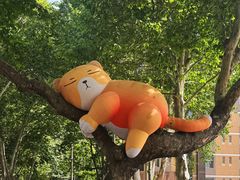 -西安电影制片厂