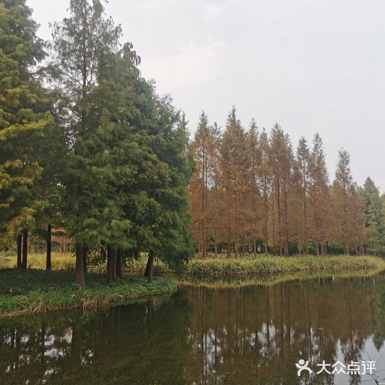 上海最不适合溜娃的公园[流泪]