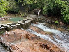 -广州白江湖森林公园