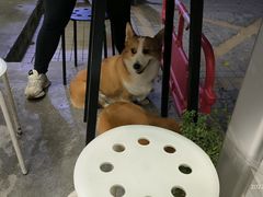 -小梁哥云吞面(黄贝岭店)
