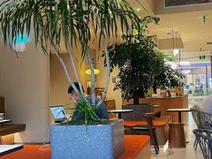 -Peet's 皮爷咖啡(海雅缤纷城店)