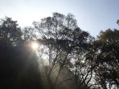 -紫金山索道-售票处