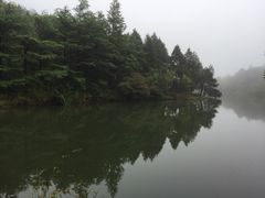 -四明山国家森林公园