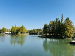 -尚贤河湿地