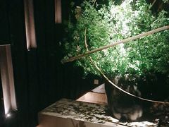 -泰之源足浴会所(玉环店)