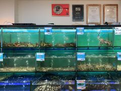 水产区-南海渔家•海鲜•正宗海南菜(海棠湾店)
