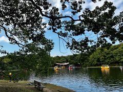 -上海共青森林公园