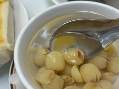 -澳洲牛奶公司(佐敦店)