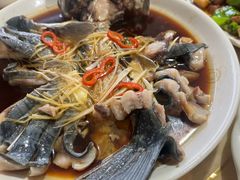 -煲来饱去冷水鱼