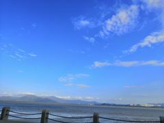 -深圳湾公园(南山区)