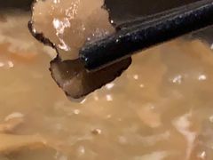 -蘑统田下·野生菌火锅