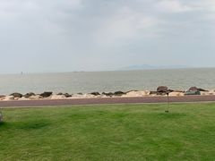 -野狸岛