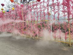 -北京凤凰岭